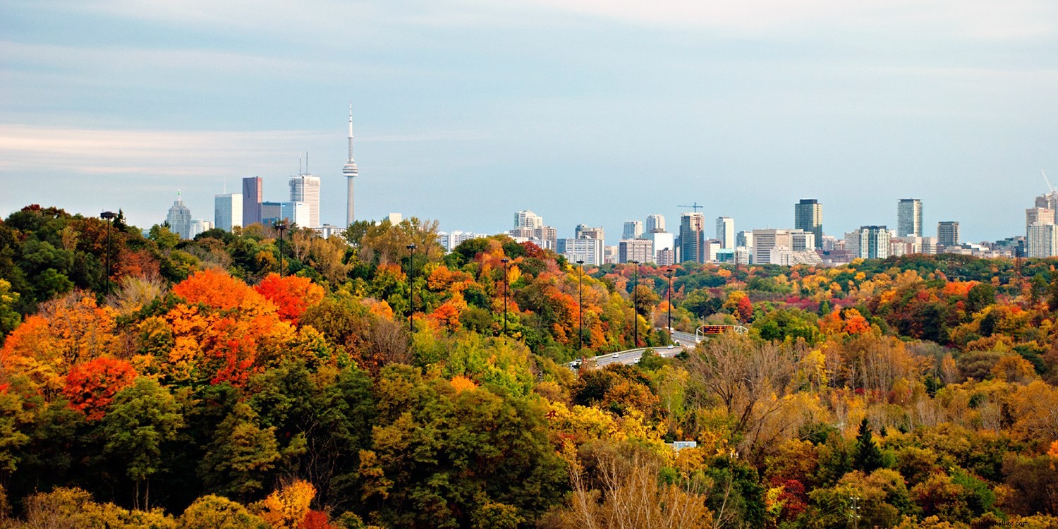 Canadá:para ótimas ofertas, Vá para o norte em 2016 